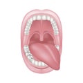 Oral cavity with tongue sticking out to one side. Royalty Free Stock Photo